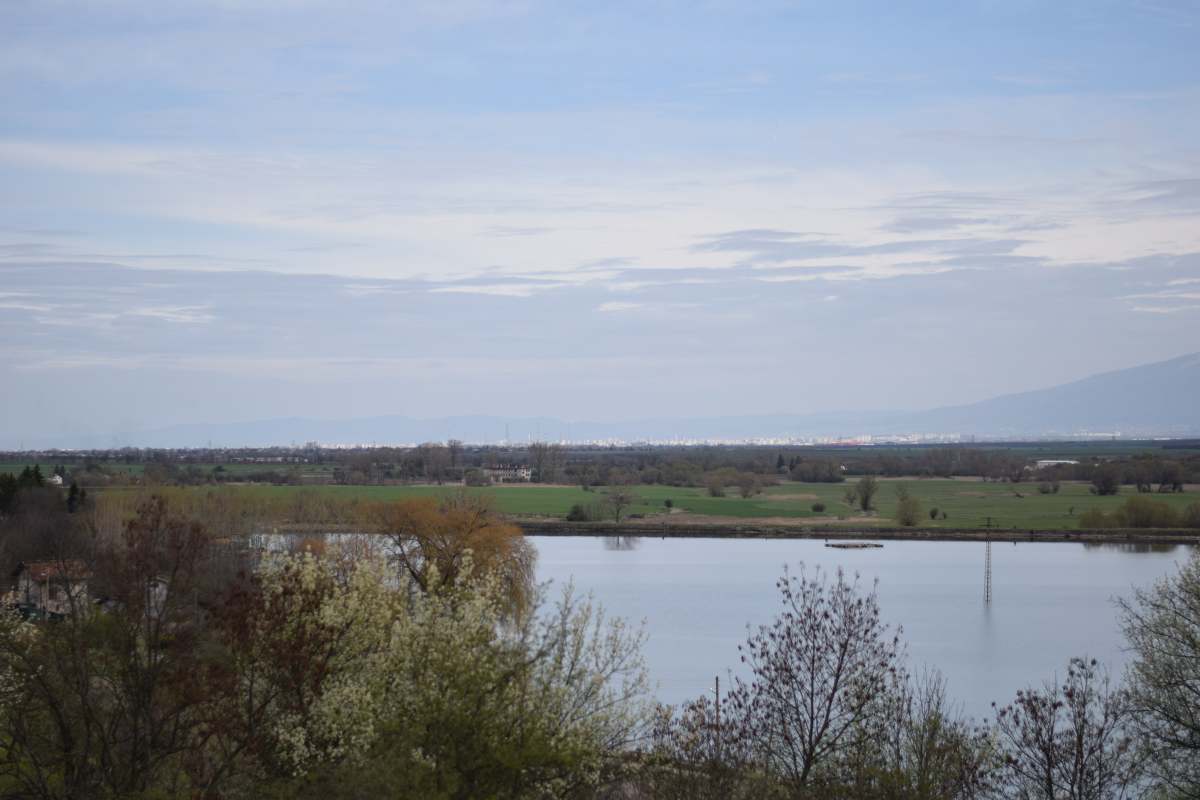 DSC_0503