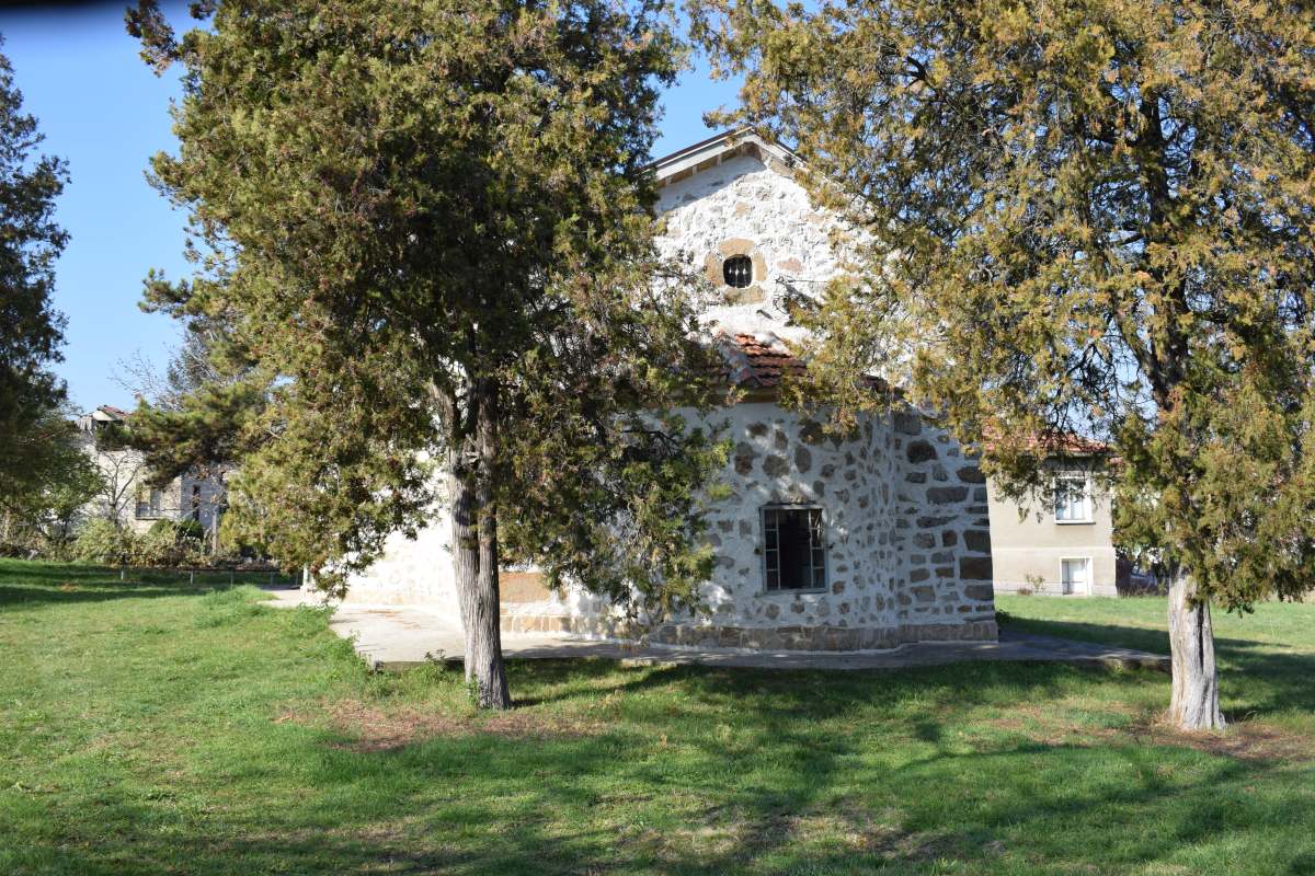 DSC_0733