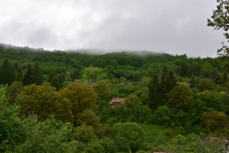 DSC_8544-1