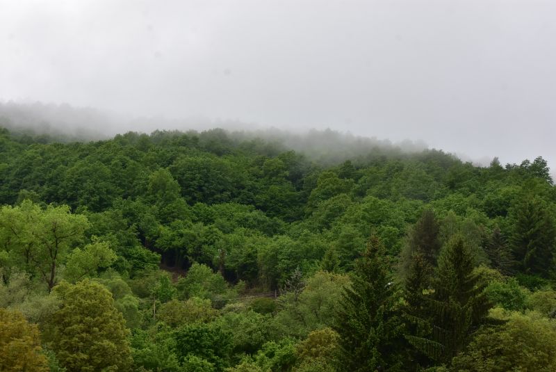 DSC_8547-1