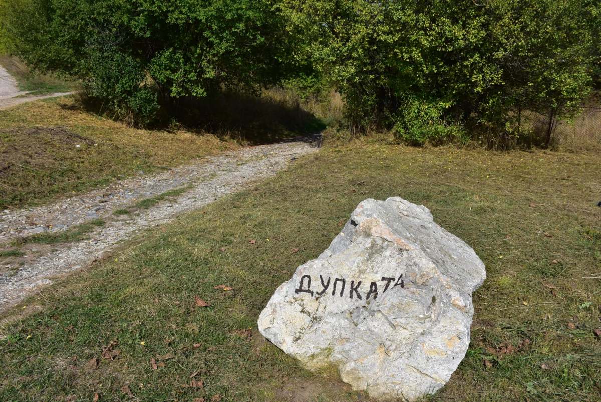 Царичина